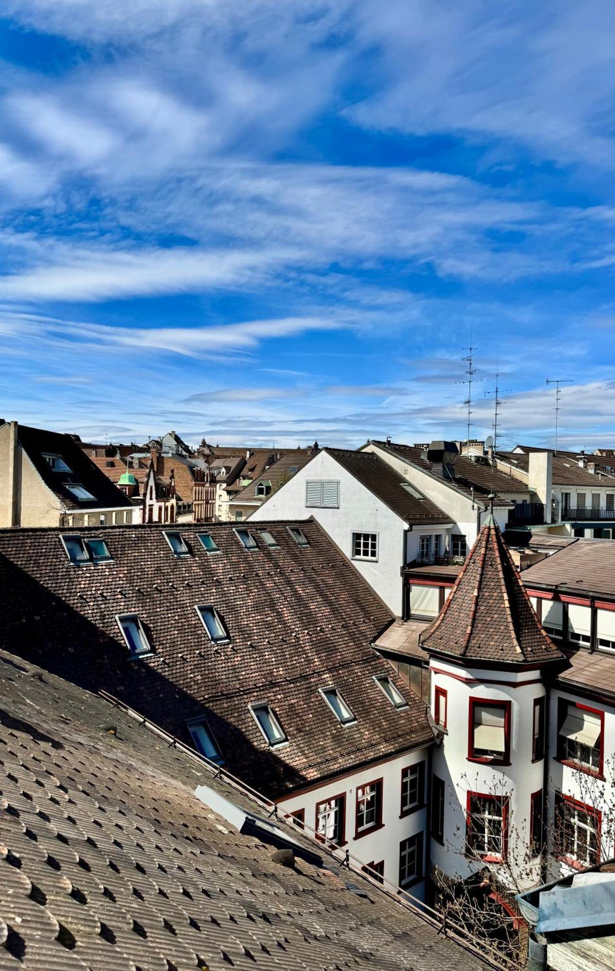 City Center Rooftop Balcony-Studio At Town Hall Basel Exteriör bild